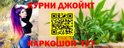 шишки Кинель