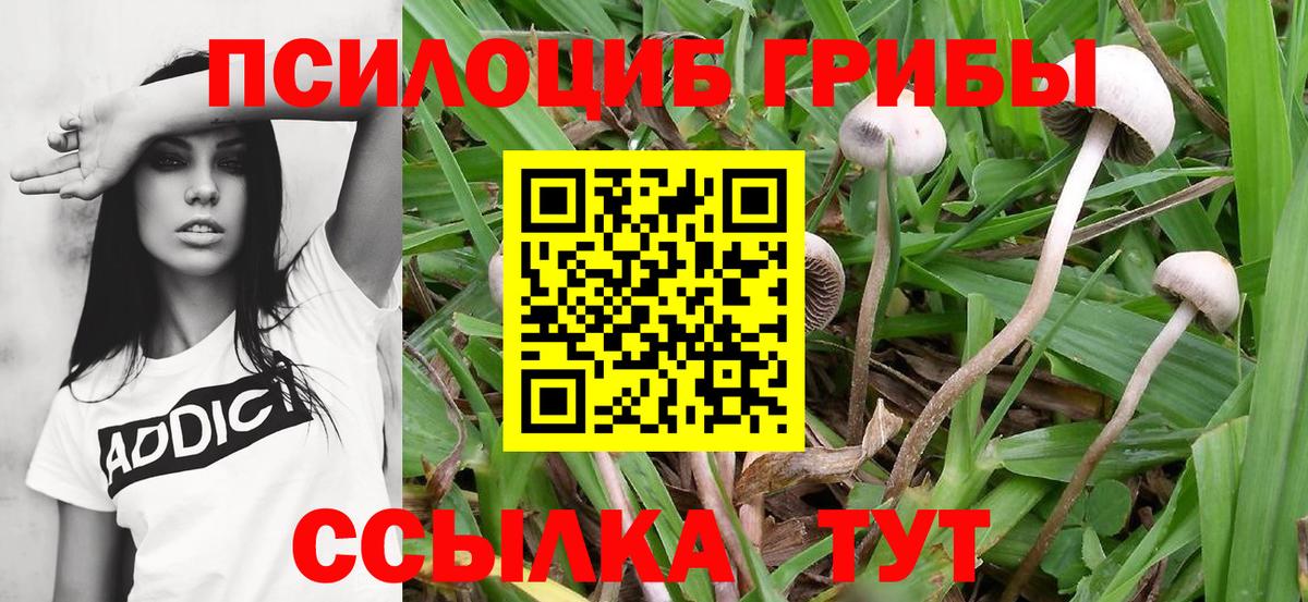 Галлюциногенные грибы MAGIC MUSHROOMS Кострома